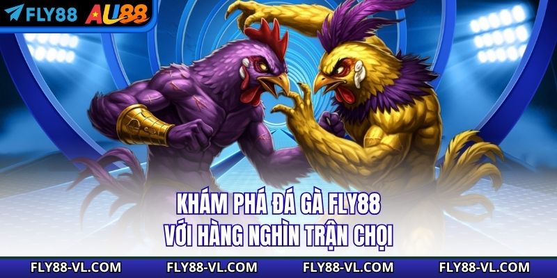 Khám phá đá gà Fly88 với hàng nghìn trận chọi